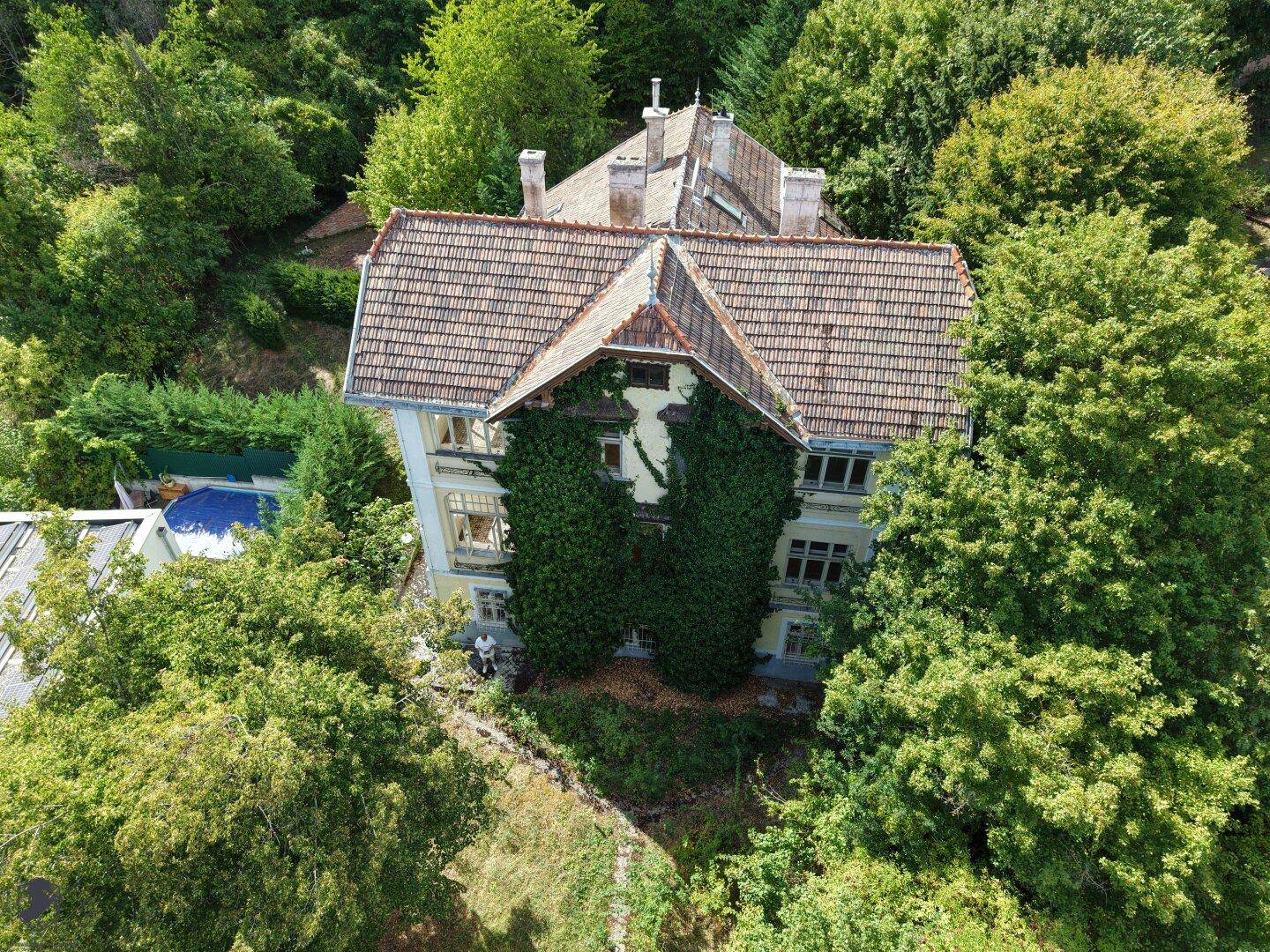 Luftaufnahme der historischen Villa mit Efeu an der Fassade und umgebendem Baumbestand.
