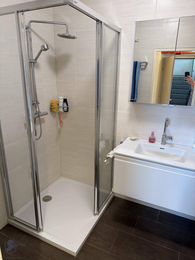 Modernes Badezimmer mit Duschkabine, Waschtisch und dunklen Bodenfliesen.