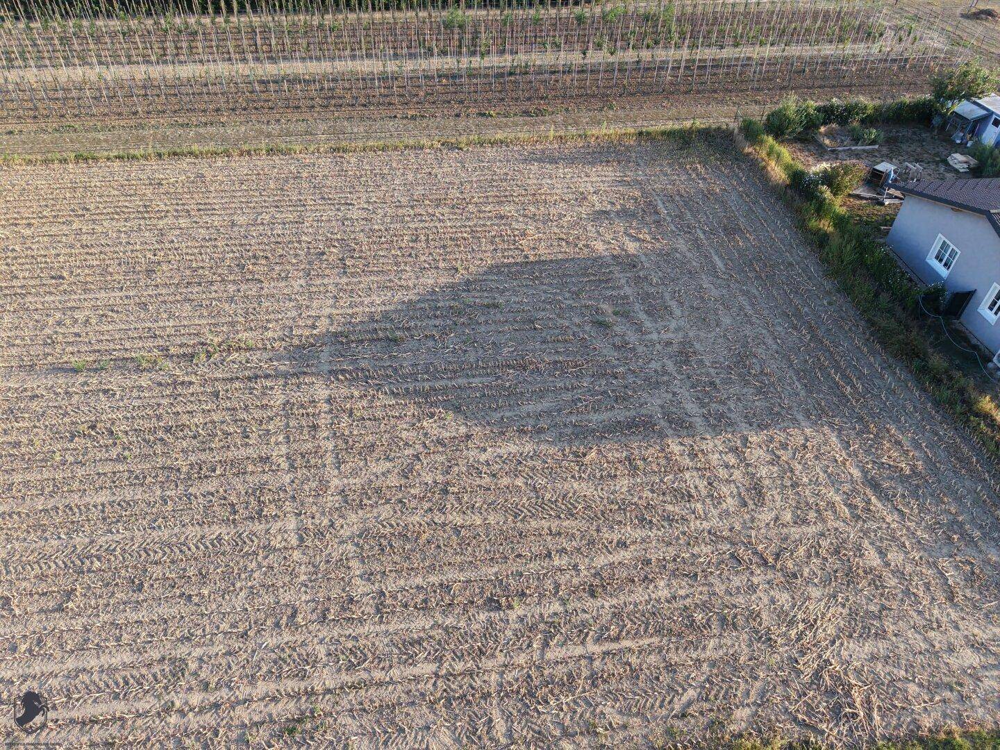 Luftaufnahme eines Feldes mit Ackerfurchen, umgeben von weiteren Feldern und einem Wohnhaus.