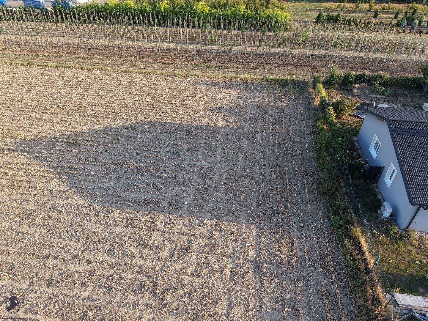 Übersicht aus der Vogelperspektive auf ein landwirtschaftlich genutztes Feld neben einem Wohngebäude.