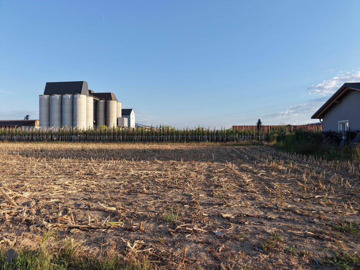 Blick über ein abgeerntetes Feld mit landwirtschaftlichen Gebäuden und einem Wohnhaus am Horizont.