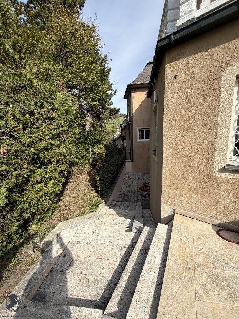 Schmaler Außenweg zwischen Gebäuden mit Hecke und Treppen, die zu einem oberen Bereich führen.