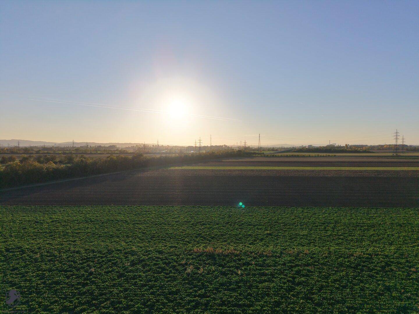 Weitläufige Felder und ländliche Landschaft bei Sonnenuntergang mit Blick auf eine entfernte Stadt.