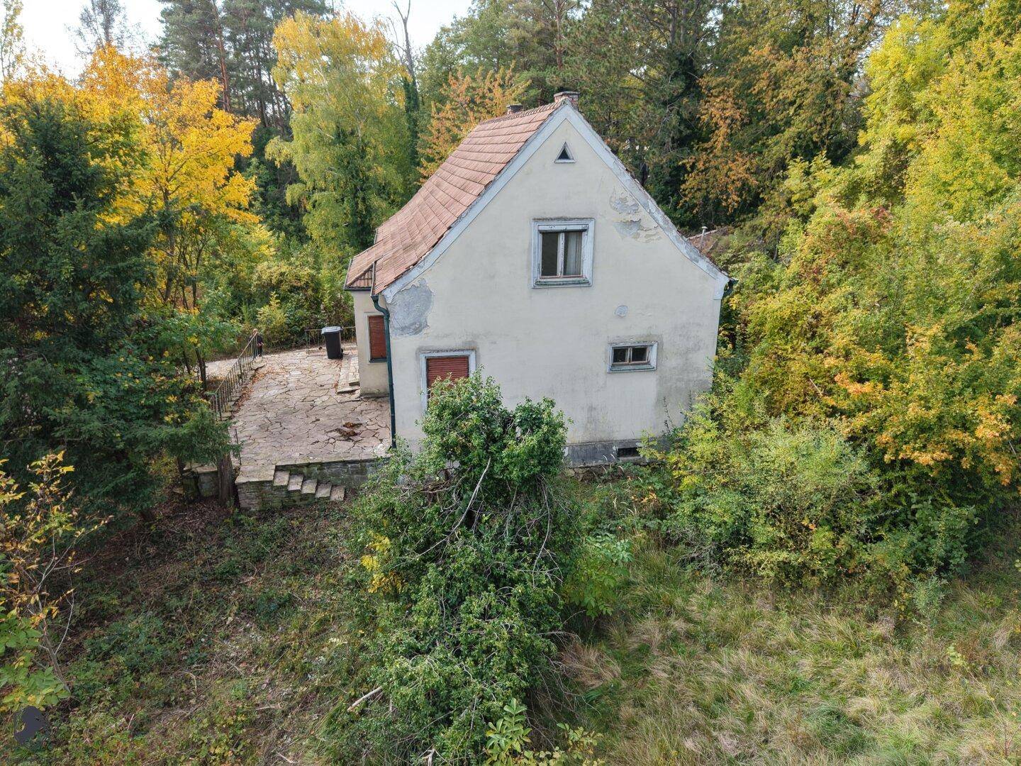 Seitenansicht des Hauses mit verputzter Fassade und umliegender, dichter Vegetation.