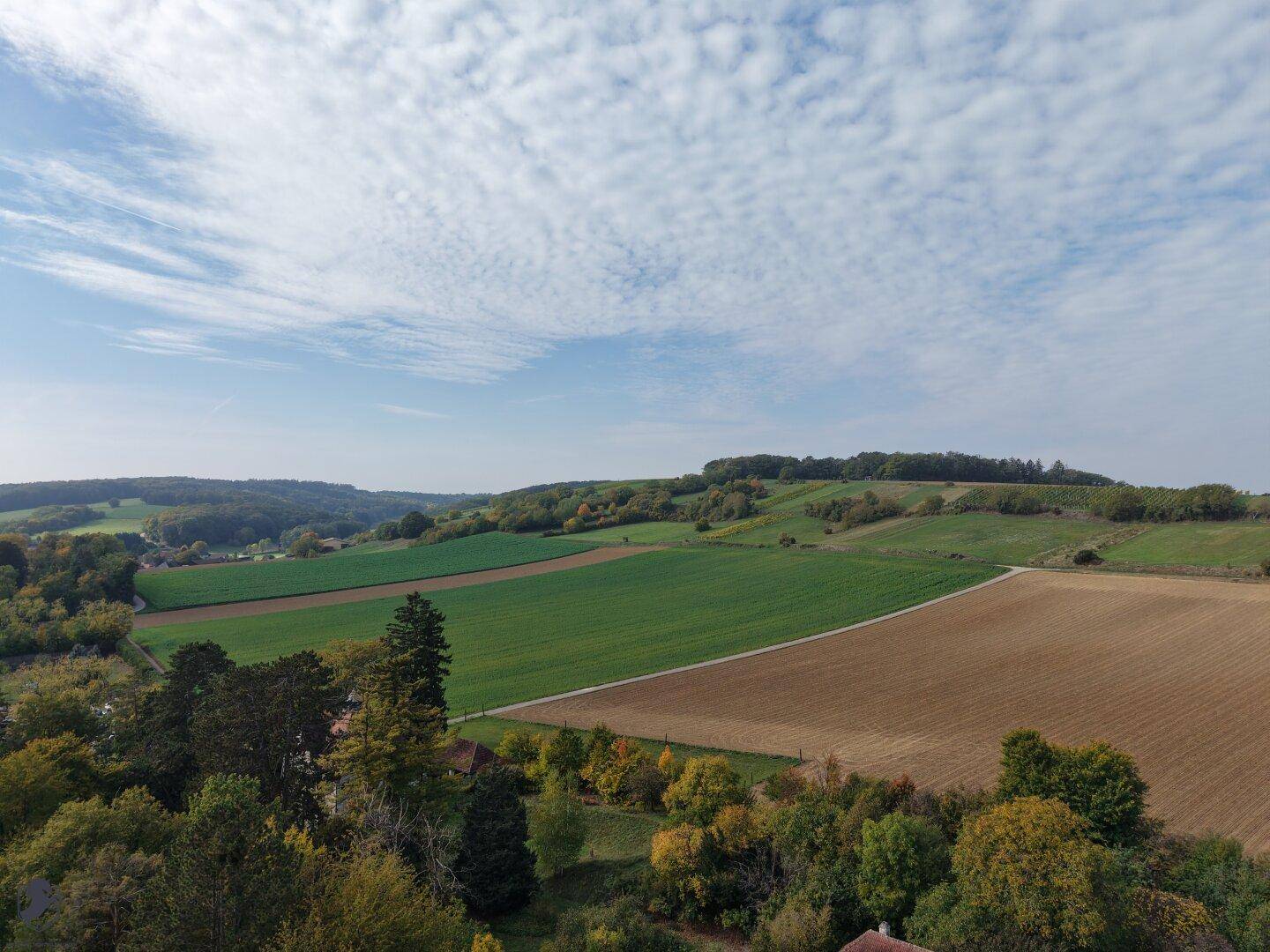 Weitläufiger Blick über landwirtschaftliche Felder und bewaldete Hügel unter einem weiten Himmel.