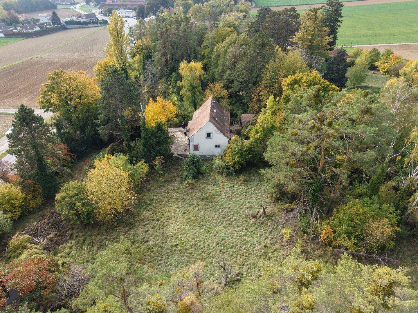 Weitläufige Luftaufnahme des Anwesens mit dem Haus, umgeben von üppiger Natur und einer großen Wiese.