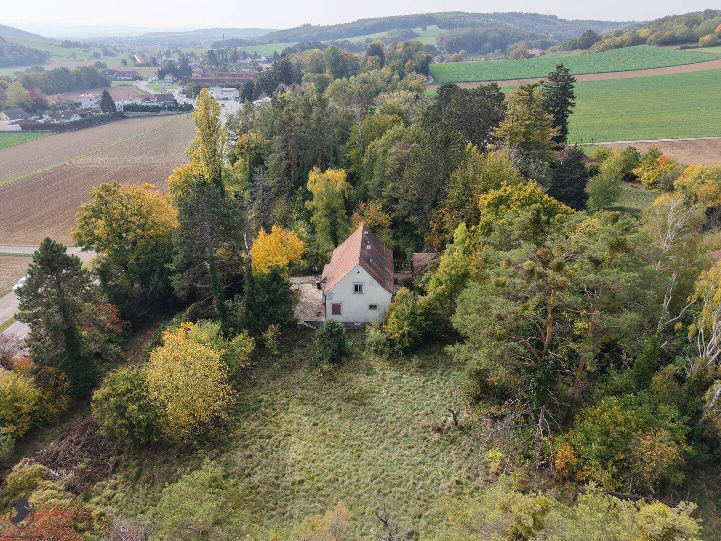 Luftaufnahme des Anwesens mit dem Haus, eingebettet in eine grüne Landschaft aus Bäumen und Feldern.