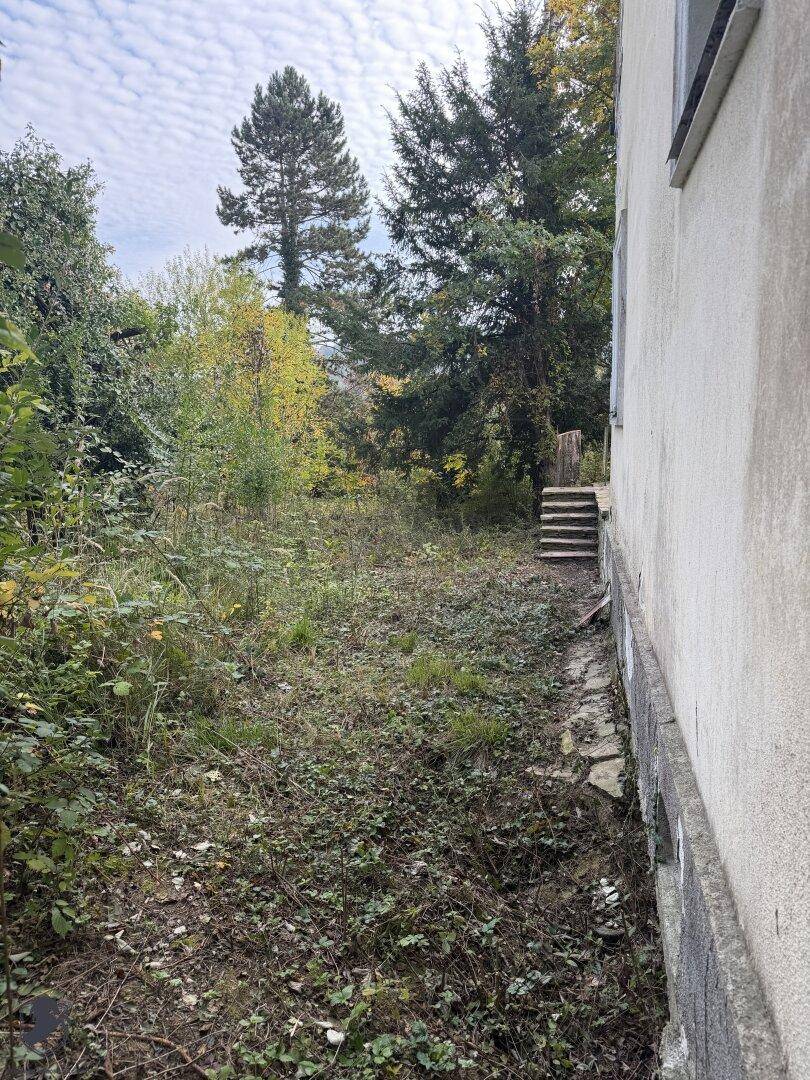 Verwilderter Gartenbereich neben dem Haus mit Treppenaufgang und dichter Vegetation.