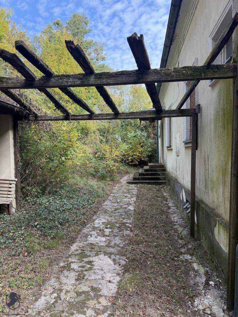 Verwilderte Pergola über einem Steinweg, der zu einem Gebäude führt, umgeben von üppigem Grün.