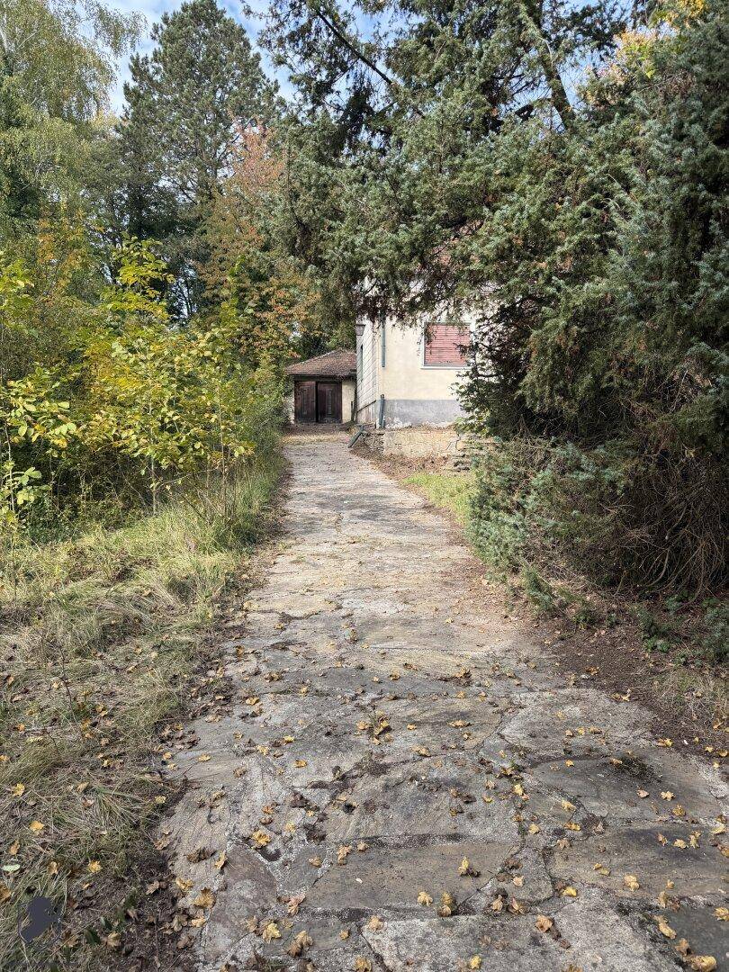 Langer, unbefestigter Weg, der durch dichtes Grün zu einem versteckten Haus und einer Garage führt.
