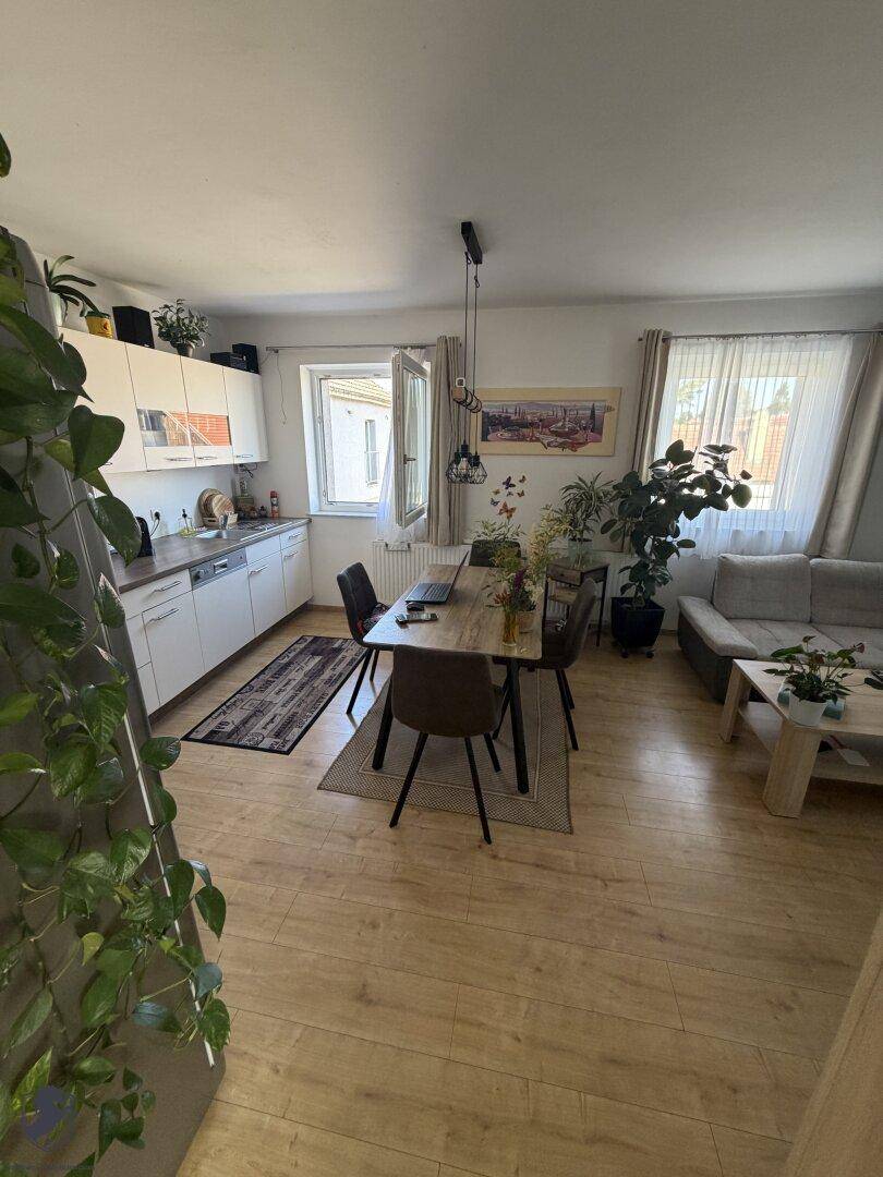 Offener Wohn-Essbereich mit Laminatboden, Esstisch und gemütlicher Sitzecke, reichlich mit Pflanzen dekoriert.