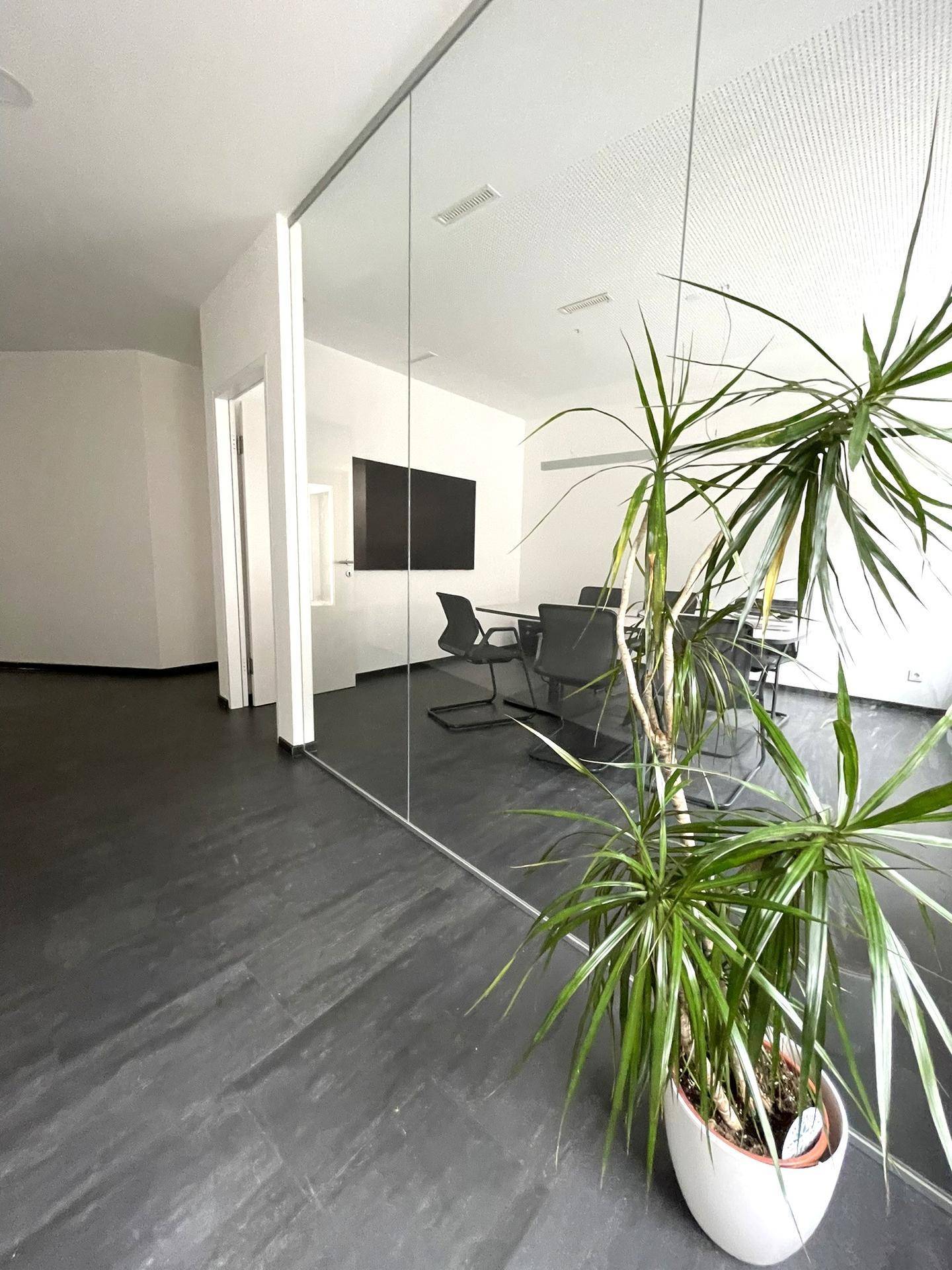Heller Konferenzraum mit eleganter Glastrennwand, dunklem Fliesenboden und einer großen Zimmerpflanze im Vordergrund.