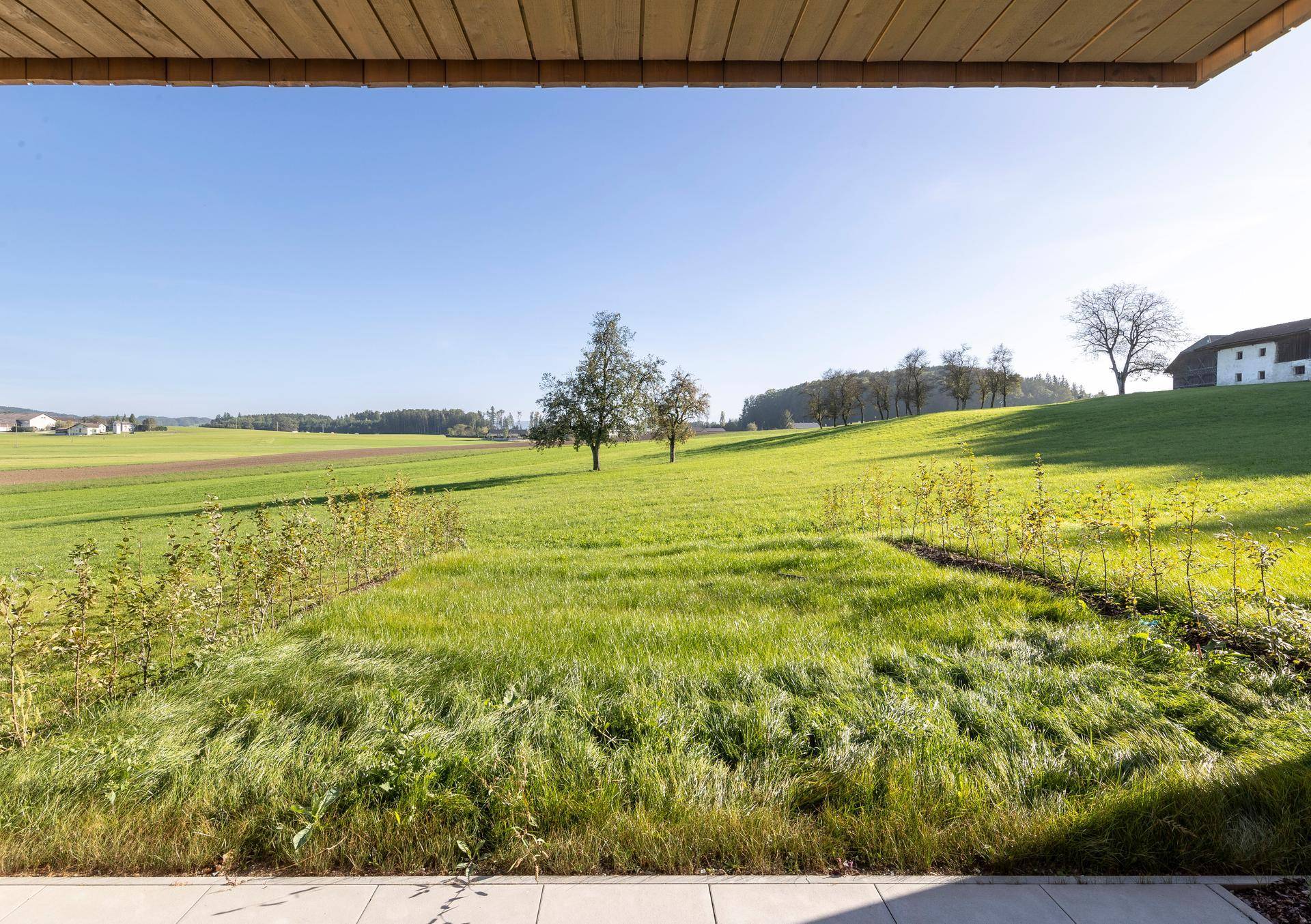 Weitläufige Grünfläche mit Bäumen und Blick in die Landschaft.