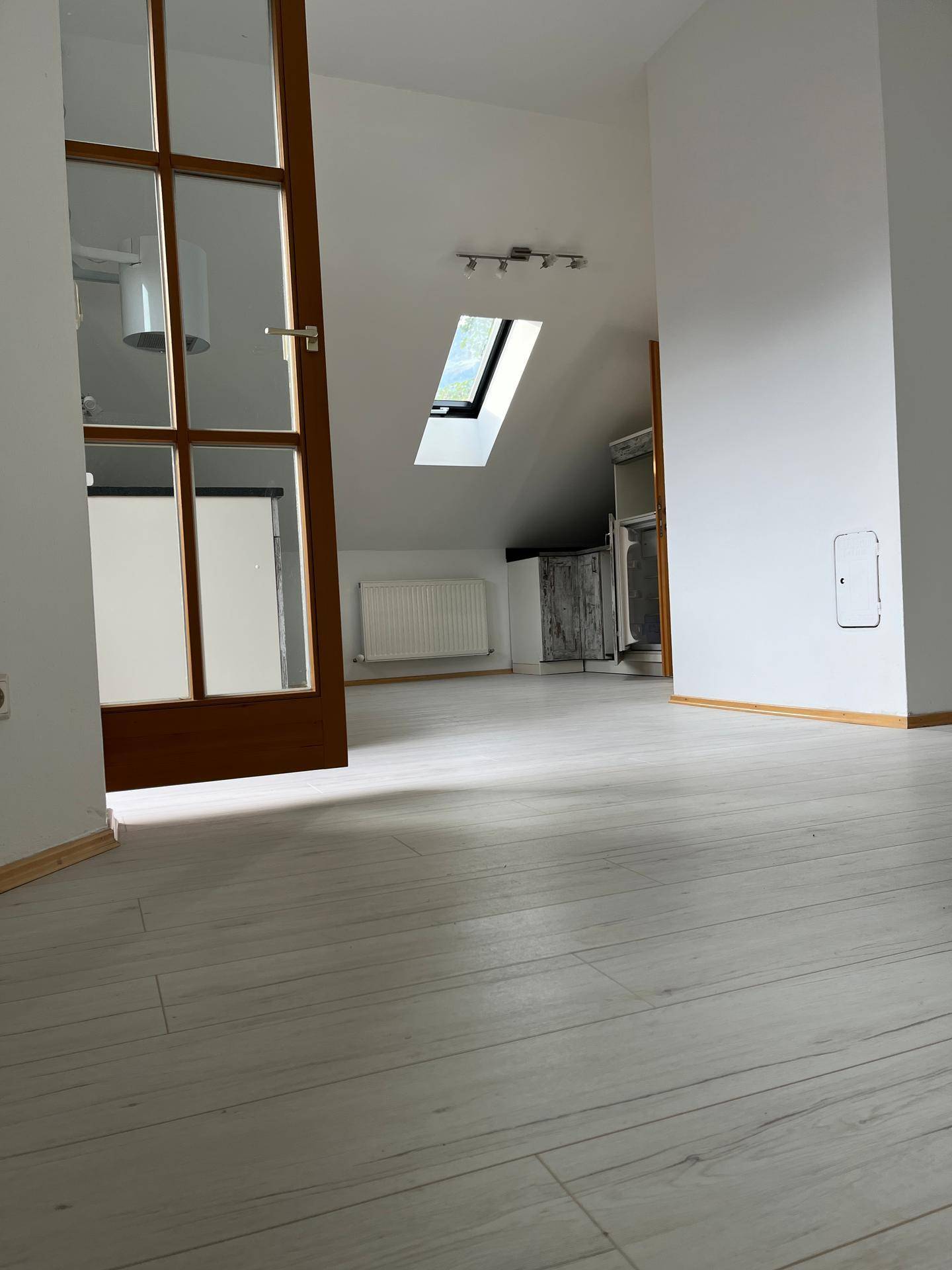 Heller Raum im Dachgeschoss mit Laminatboden, Dachfenster und Holztür, führt zu weiteren Bereichen.
