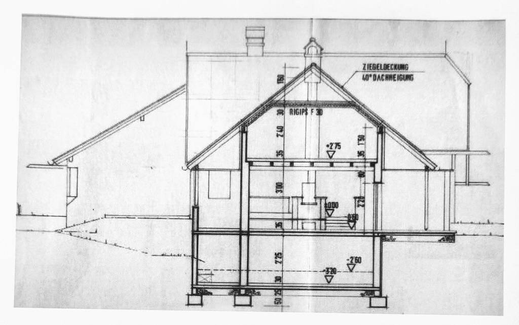 Architektonischer Schnittplan des Hauses mit Details zur Dachneigung und Konstruktion.