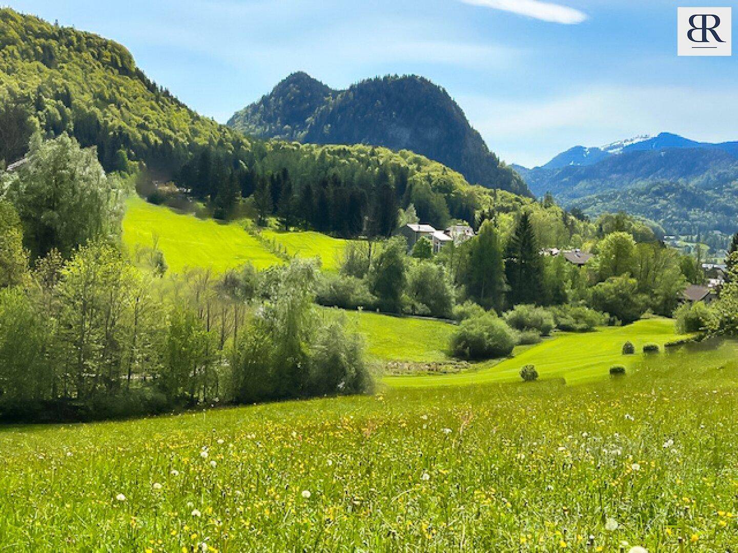 das Grundstück mit Blick 1