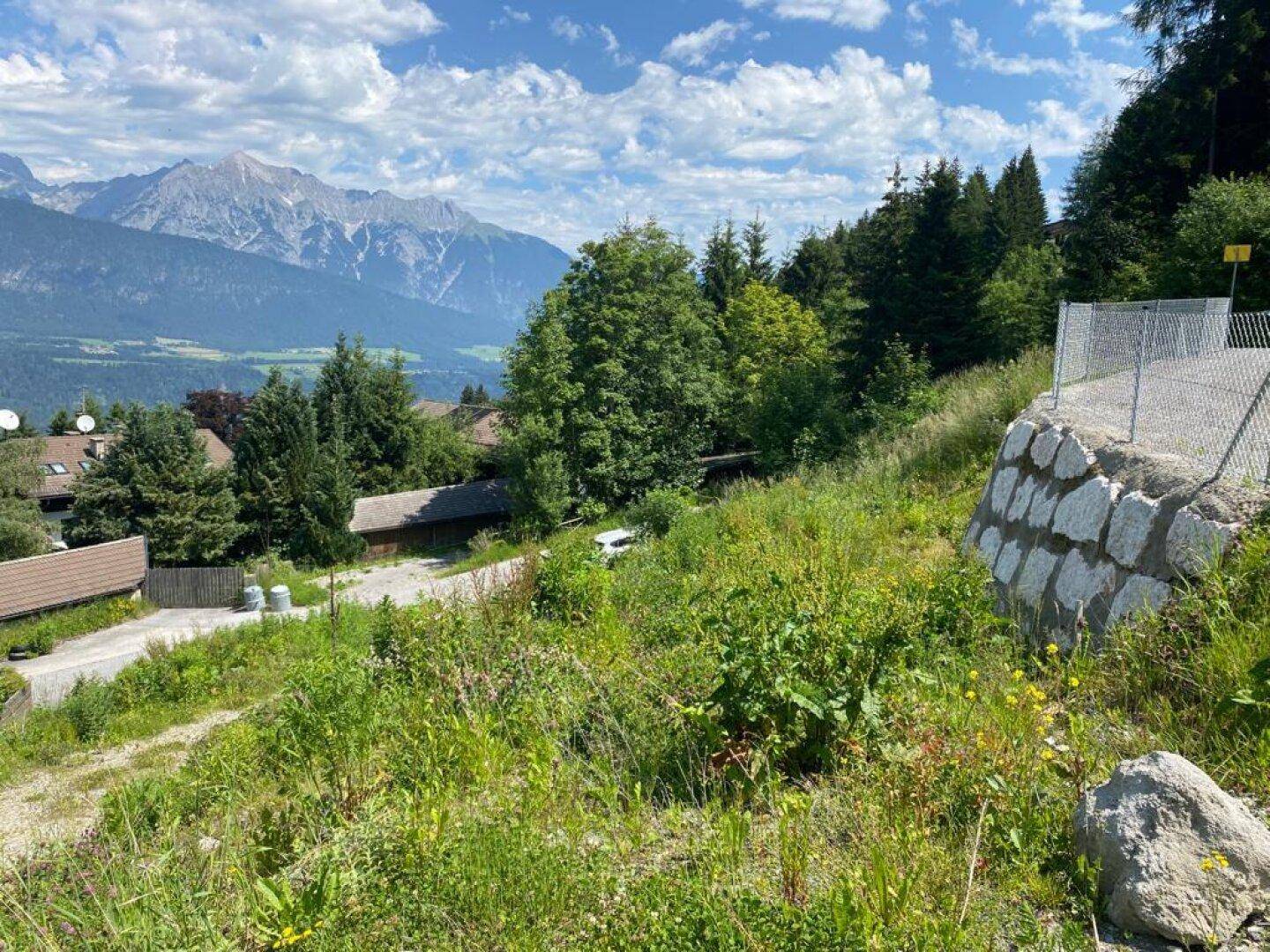 Grüne Wiese und bewachsener Hang mit Blick auf die majestätischen Berge und das weite Tal.