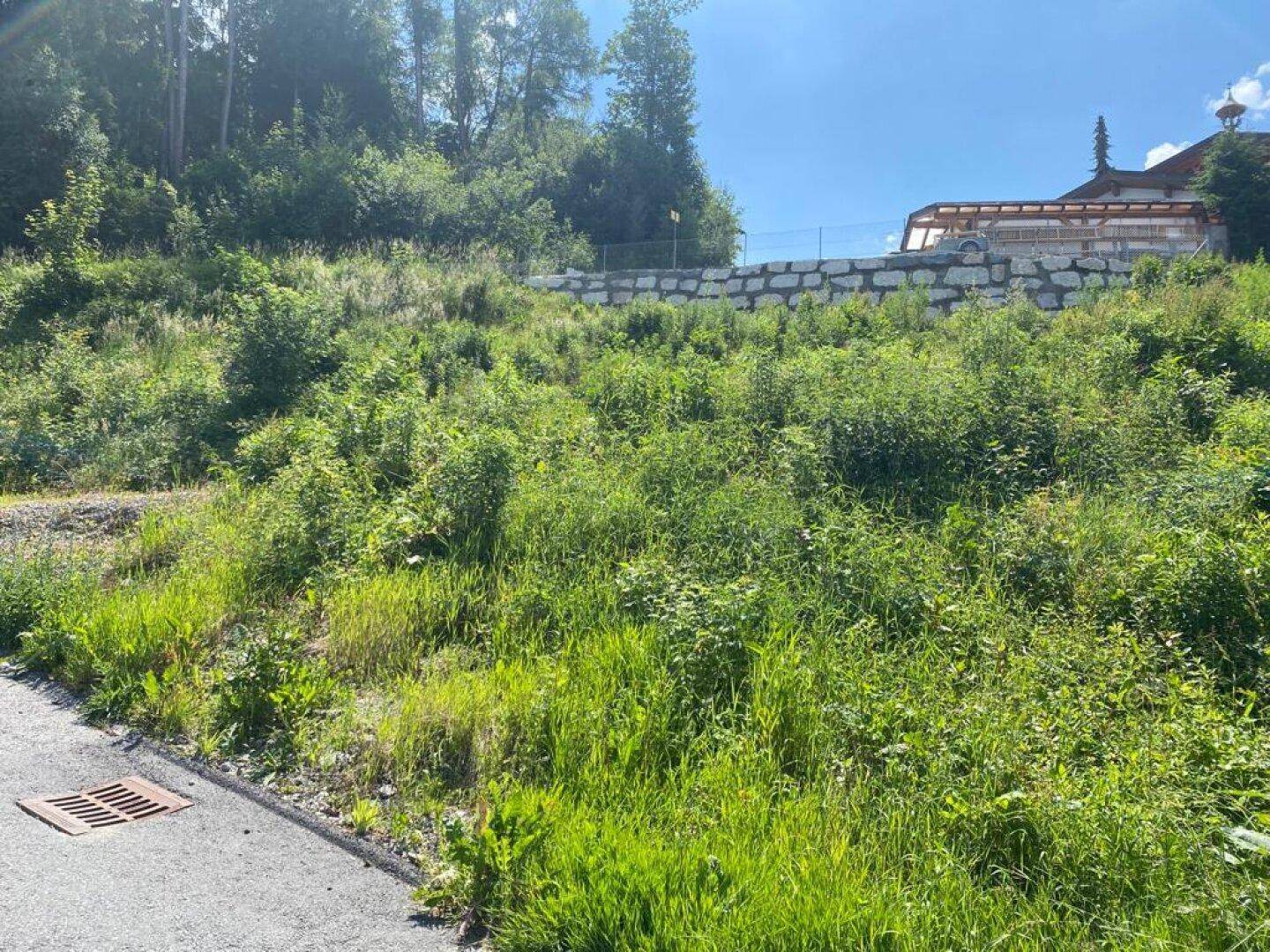 Wild bewachsenes Grundstück mit einer Natursteinmauer und Waldrand im sonnigen Alpenvorland.