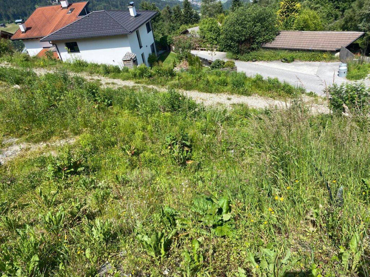 Wohnhaus in idyllischer Hanglage, umgeben von grüner Natur mit weitem Blick auf die Alpen.