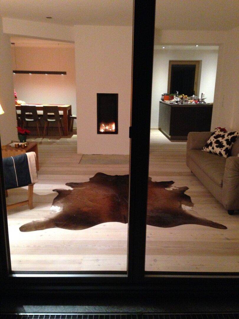 Gemütlicher Wohn- und Essbereich mit Kamin und Holzboden, durch eine Glastür getrennt.