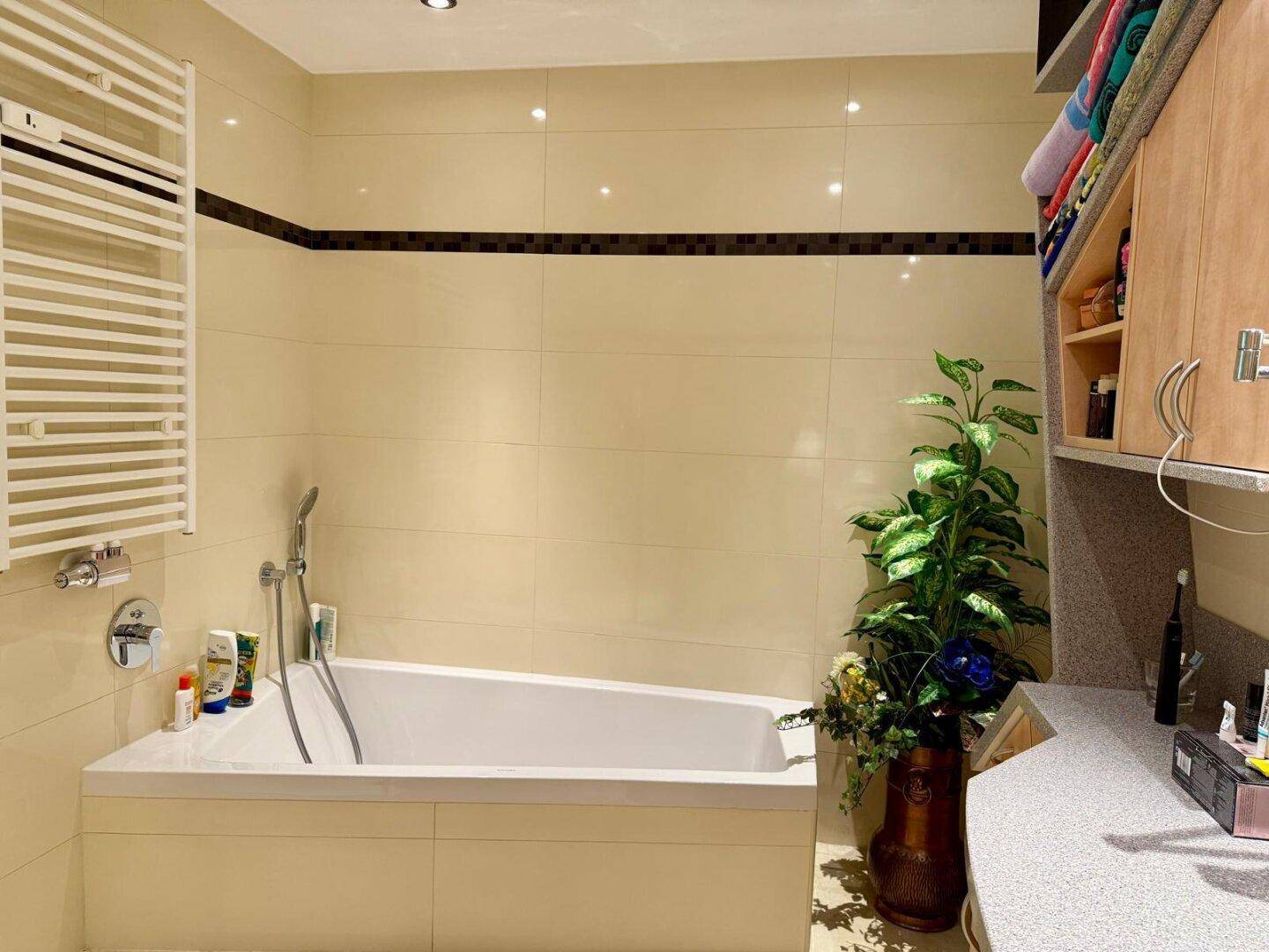 Badezimmer mit Badewanne, beheiztem Handtuchhalter und dekorativer Pflanze.