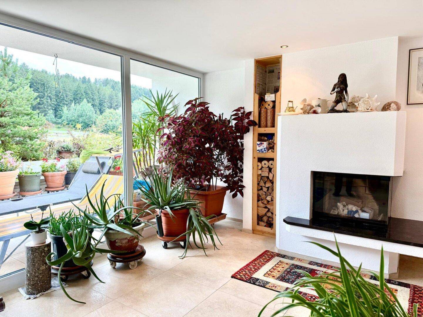 Heller Wintergarten mit vielen Pflanzen, Kamin und Blick auf die grüne Landschaft.
