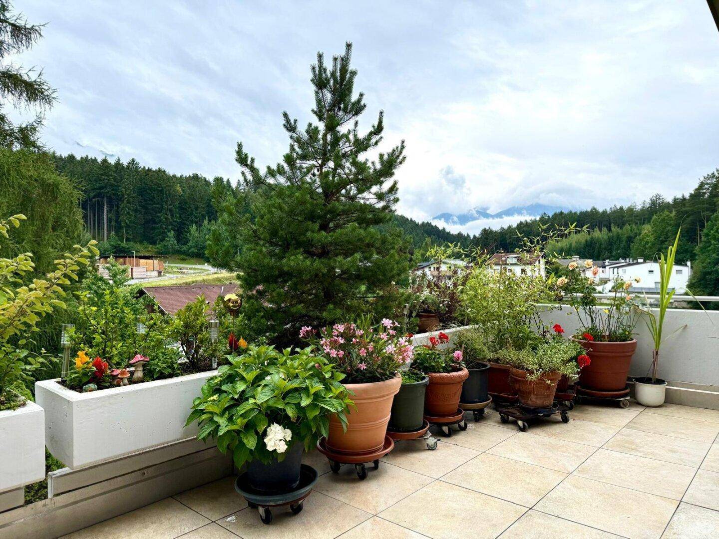 Geräumige Terrasse mit vielen Topfpflanzen und weitem Blick auf die bewaldete Umgebung.