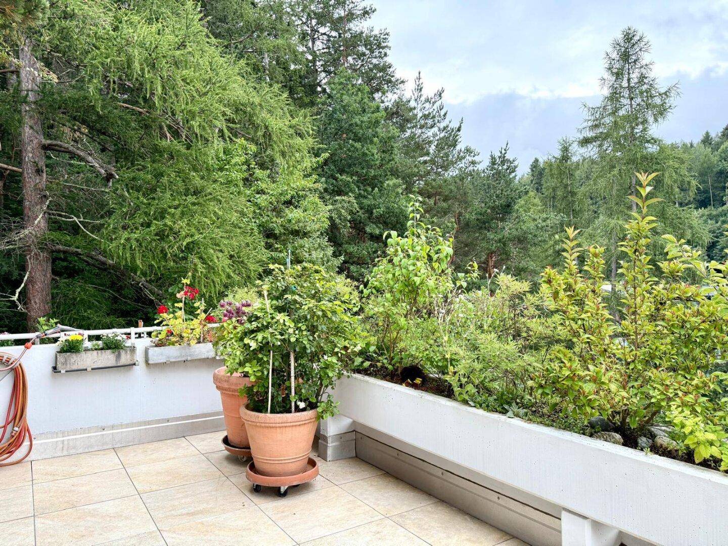 Terrasse mit üppiger Bepflanzung und direktem Blick auf den angrenzenden Wald.