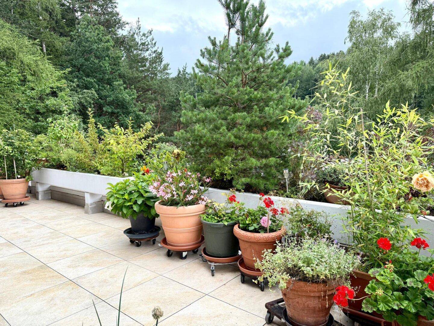 Große, geflieste Terrasse mit zahlreichen Topfpflanzen und einem weiten Blick ins Grüne.