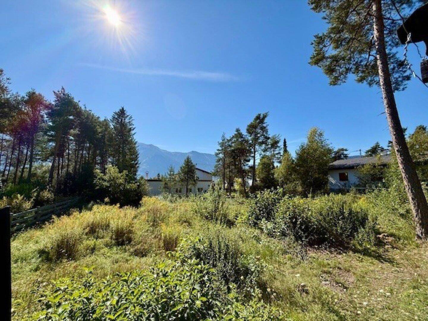 Sonniges Grundstück mit natürlicher Vegetation, umgeben von Bäumen und mit weitem Bergblick.