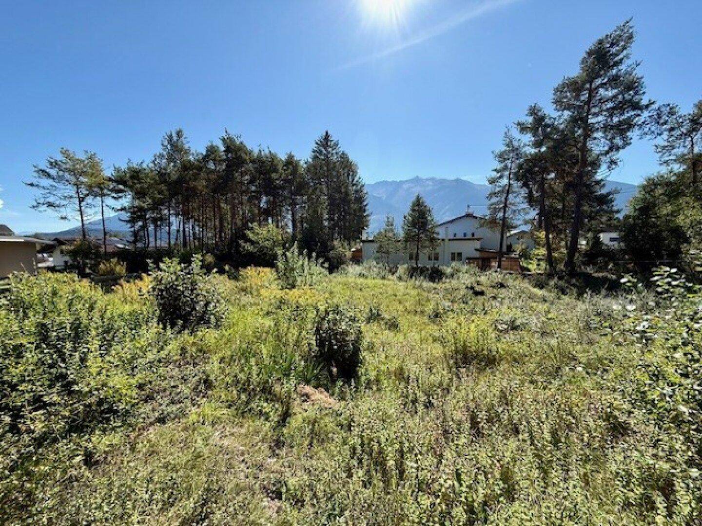Großes, sonniges Grundstück mit dichter Vegetation, umgeben von Bäumen und mit Bergsicht.