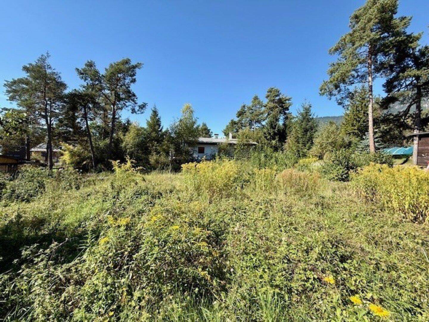 Naturbelassenes Grundstück mit üppiger Vegetation und umgebenden Bäumen in ländlicher Umgebung.
