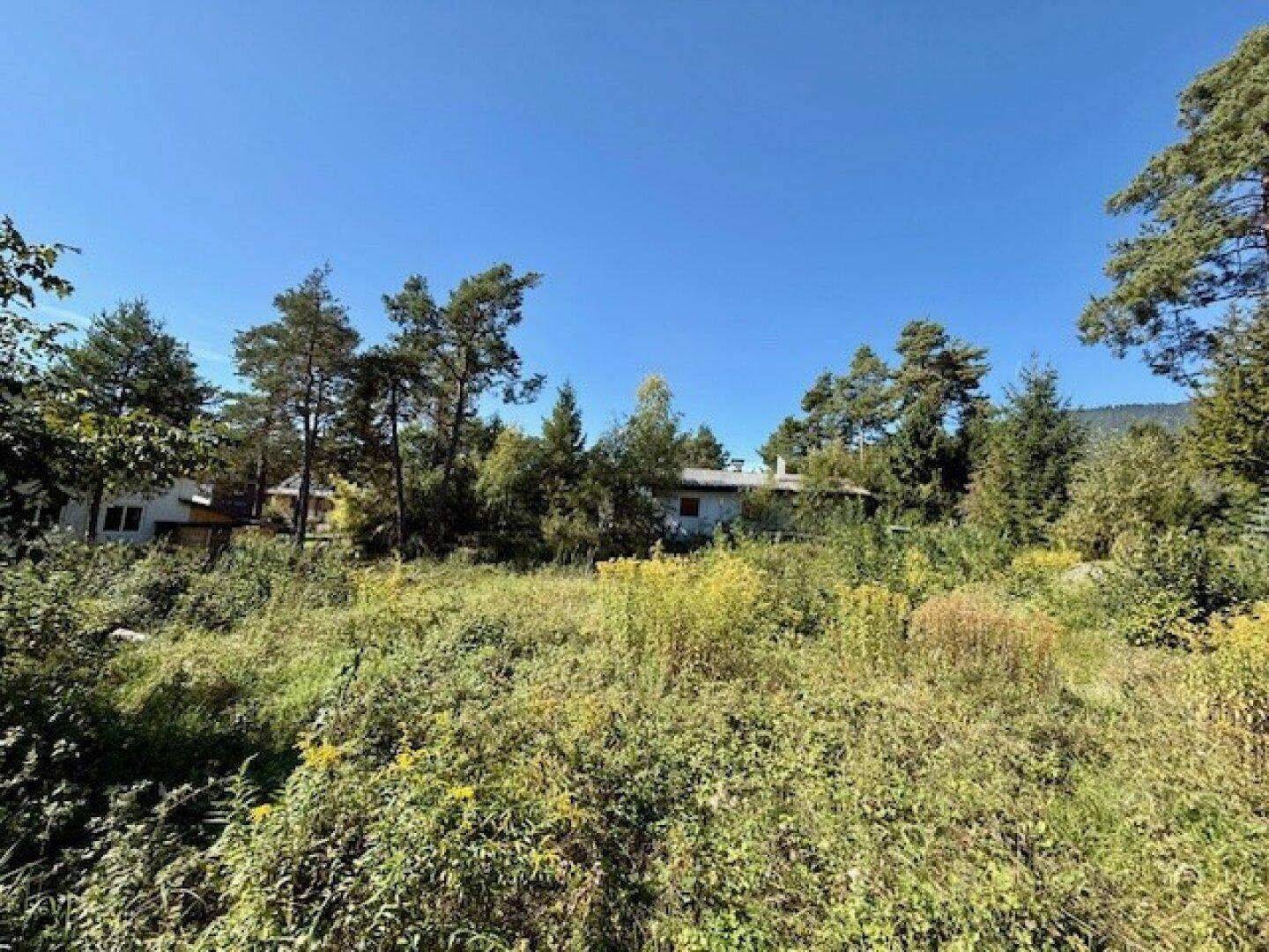 Weitläufiges, naturbelassenes Grundstück mit Bäumen und angrenzenden Wohnhäusern.
