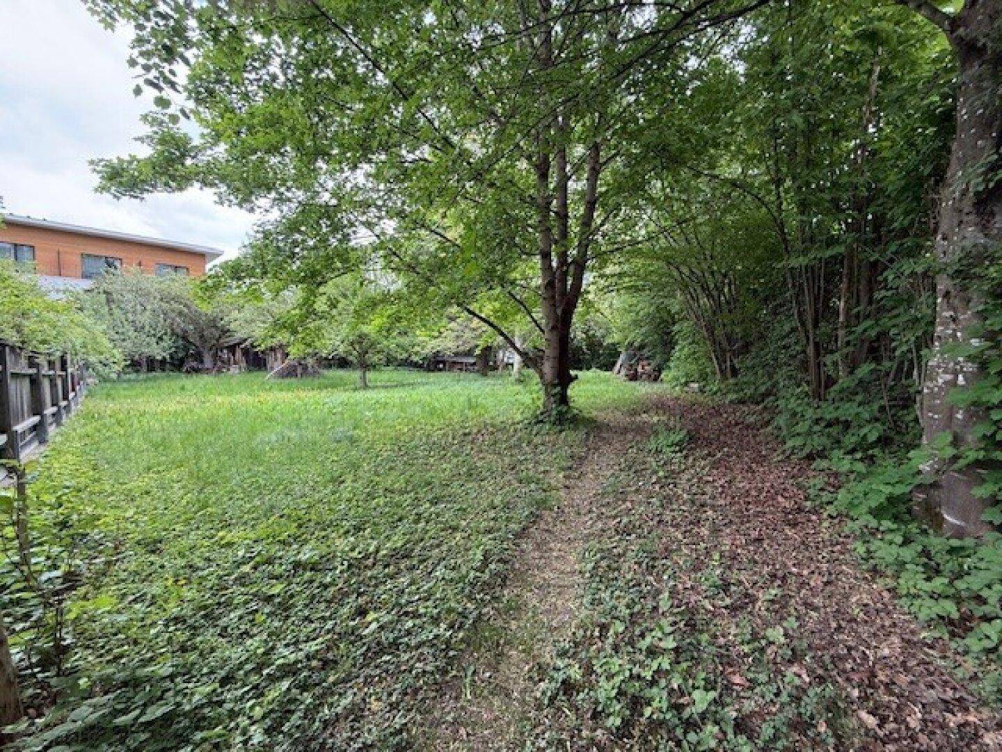 Leistbares Juwel - wunderschön, idyllisches Grundstück in Spitzenlage in Lans - Mehr