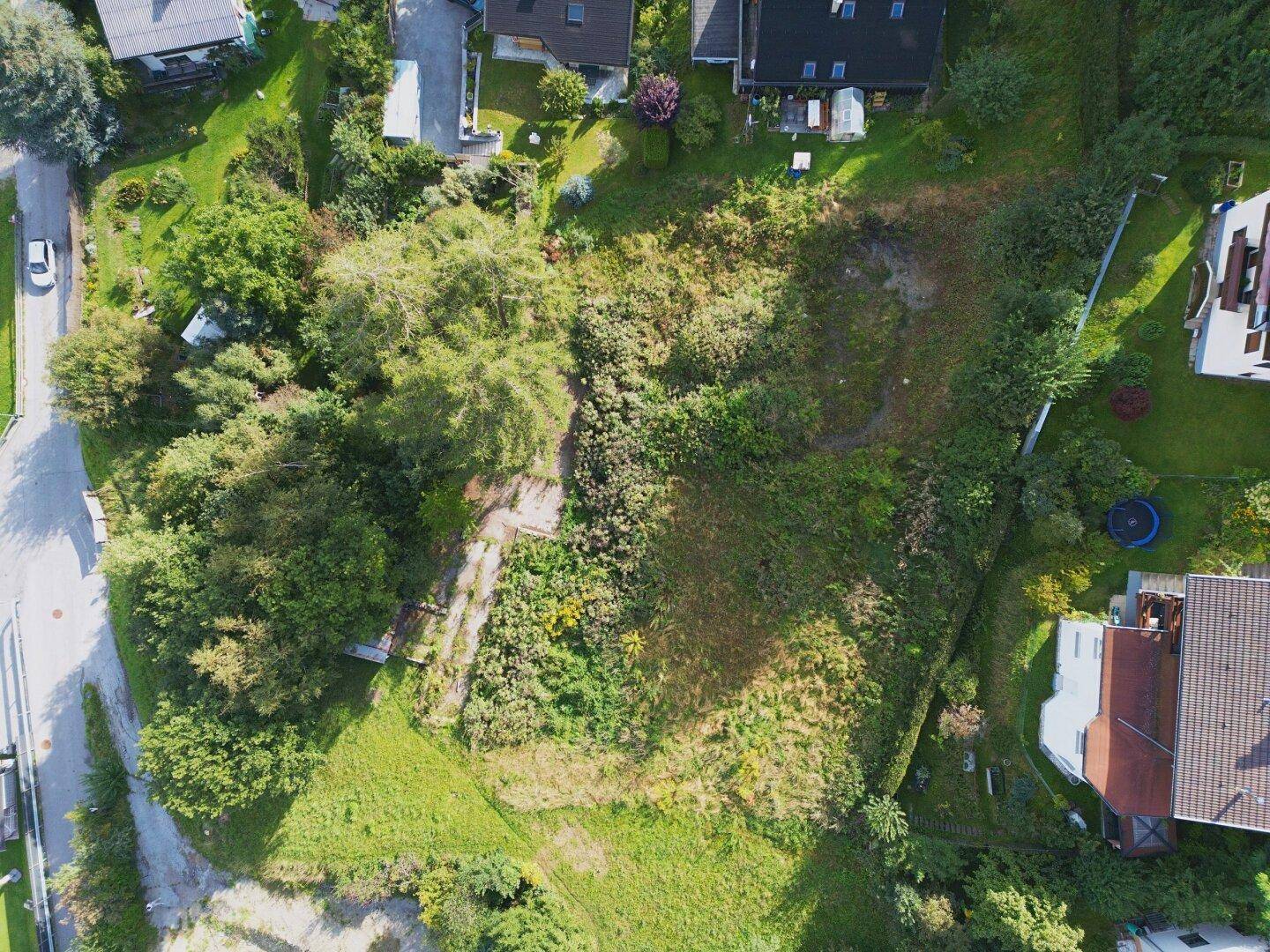 Vogelperspektive auf ein großes, naturbelassenes Grundstück in ländlicher Umgebung.
