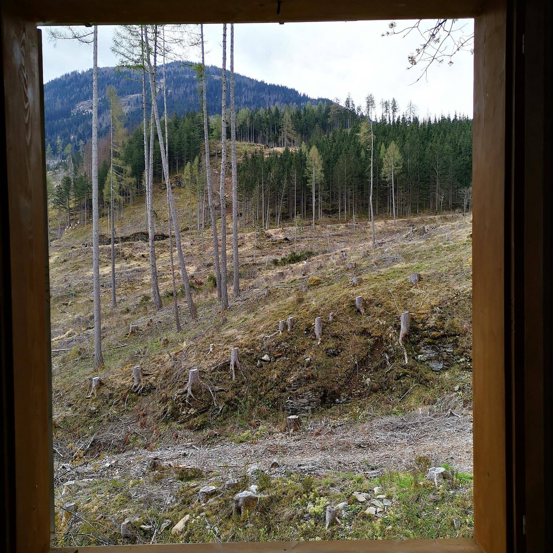 Slide 46