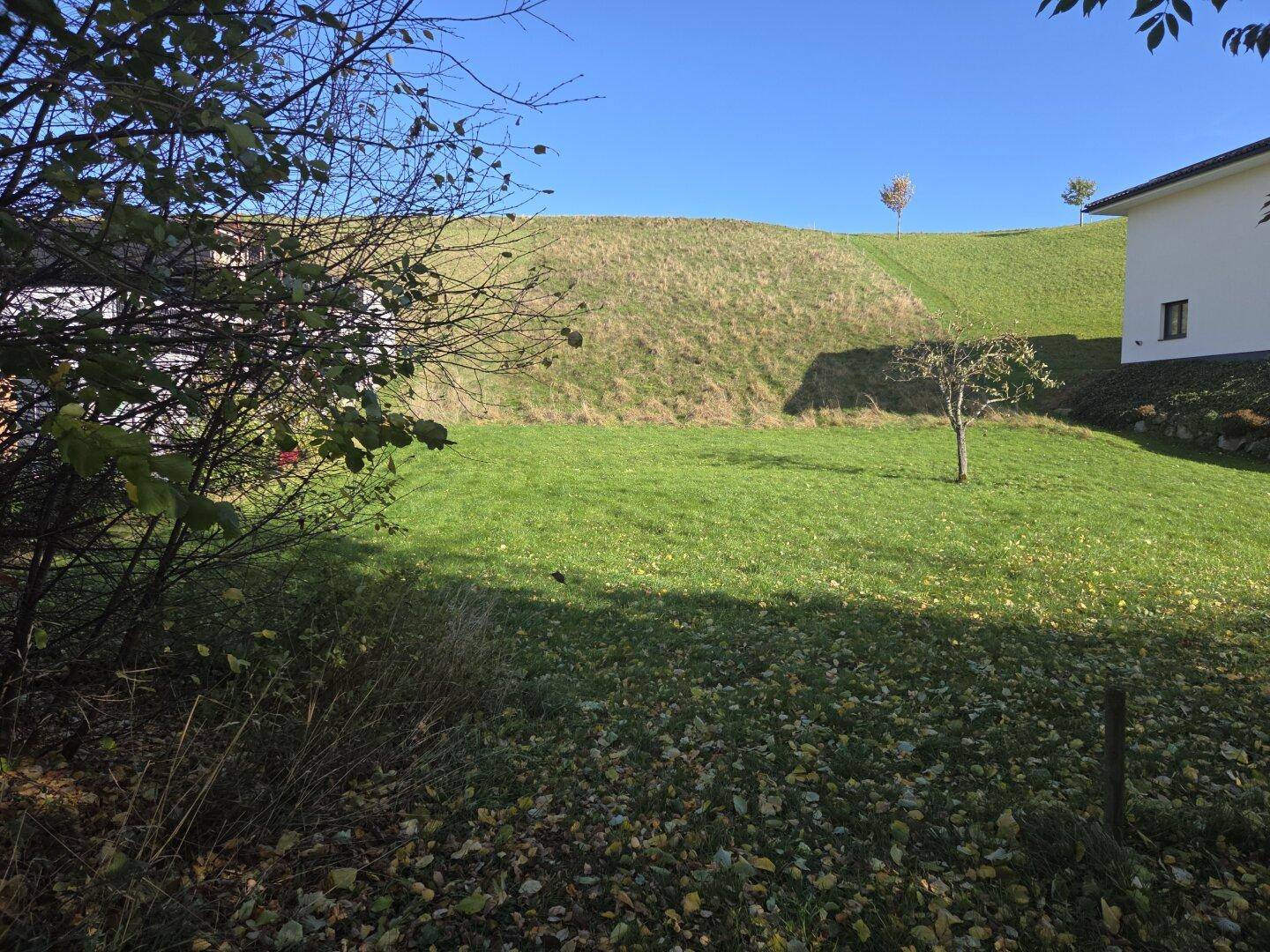Sonniger Gartenbereich mit sanft ansteigendem grünen Hang und einem Haus im Hintergrund.