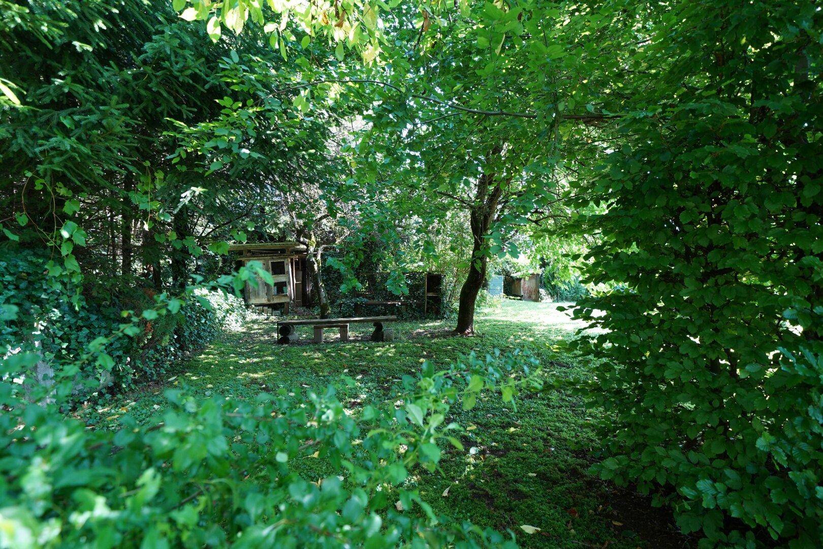 Schattiger Gartenbereich mit üppigem Grün, Bäumen und einer Holzbank zum Entspannen.