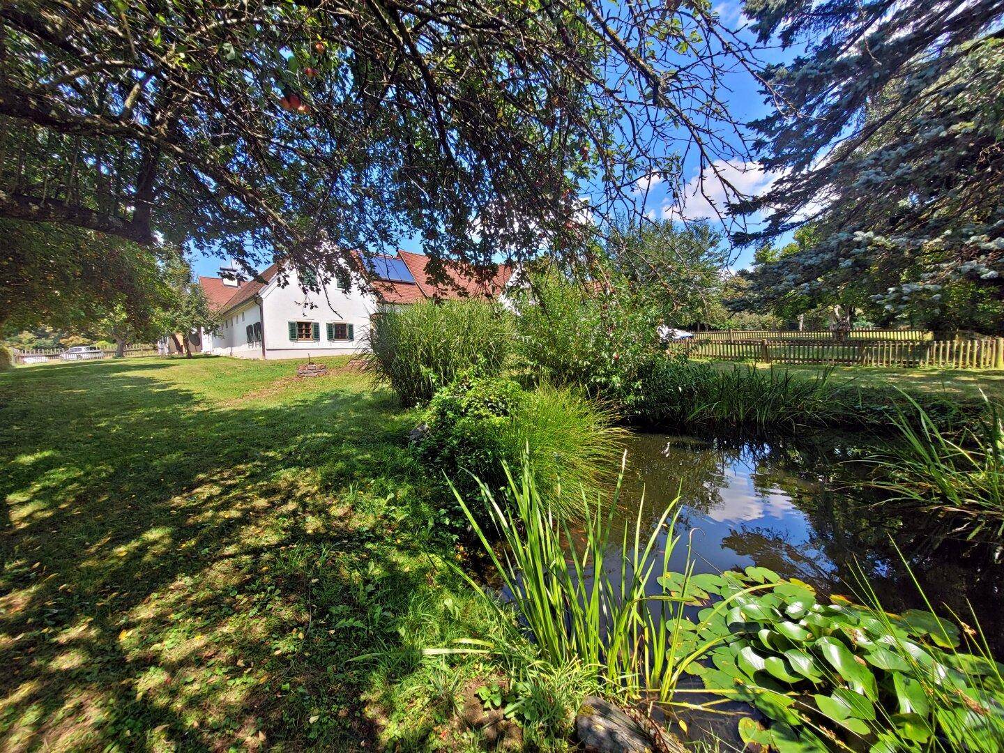 Großer Gartenbereich mit Teich, üppiger Vegetation und dem Haupthaus im Hintergrund.
