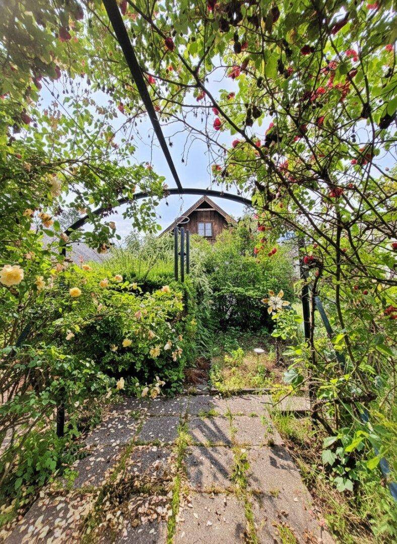 Mehr ist Mehr - Understatement vor den Toren Wiens - Ansicht 3