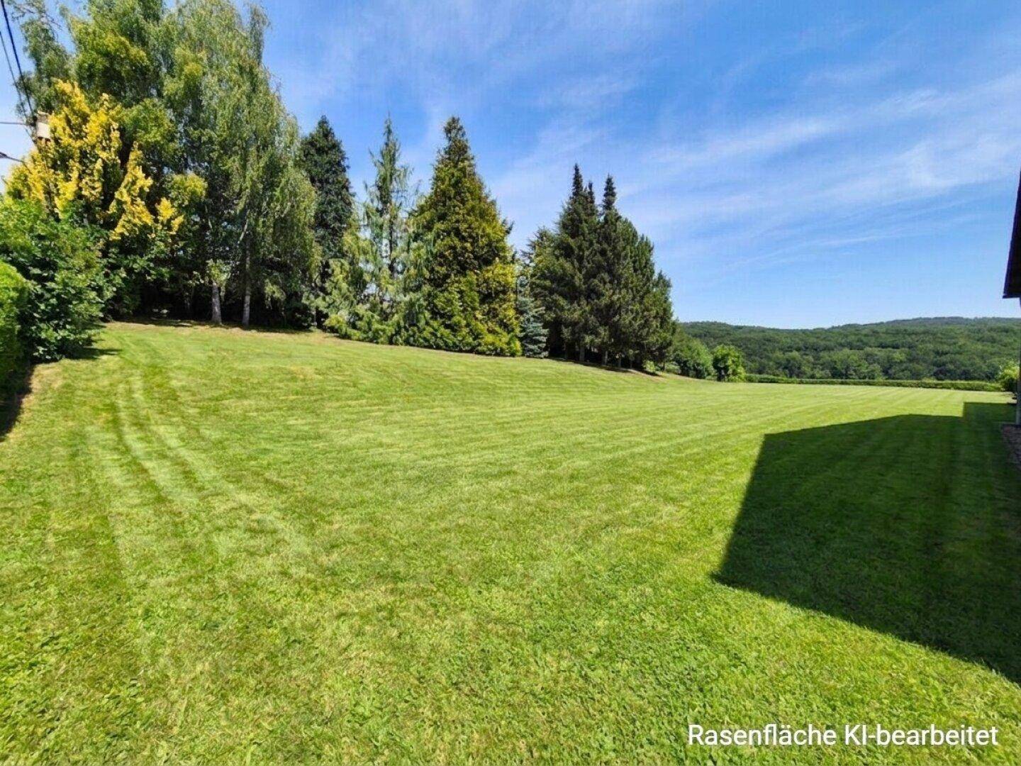Große, sonnige Rasenfläche umgeben von Bäumen mit weitem Blick in die Natur.