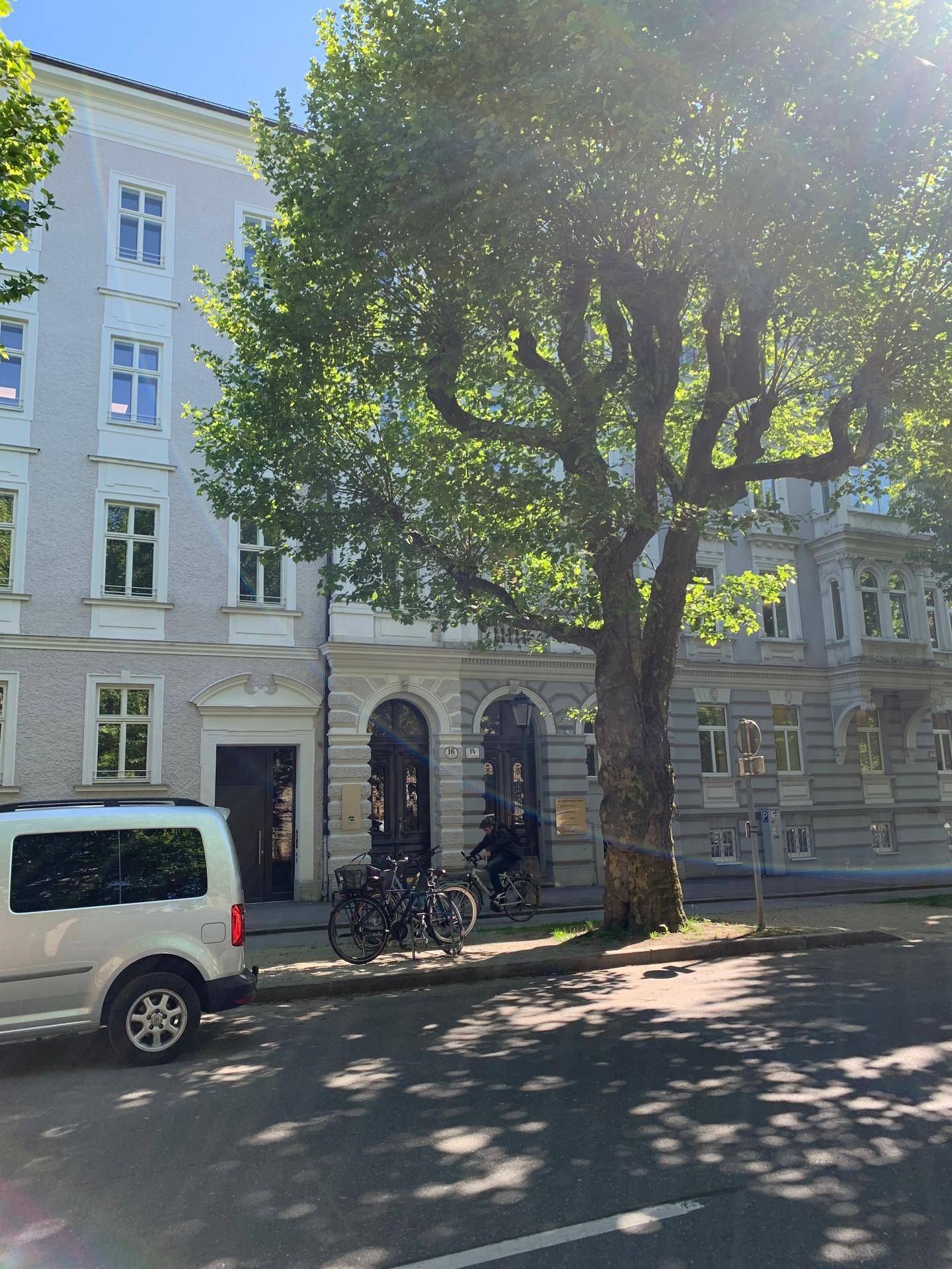 Historisches Gebäude mit klassischer Fassade und einem großen Baum davor an einer sonnigen Straße.