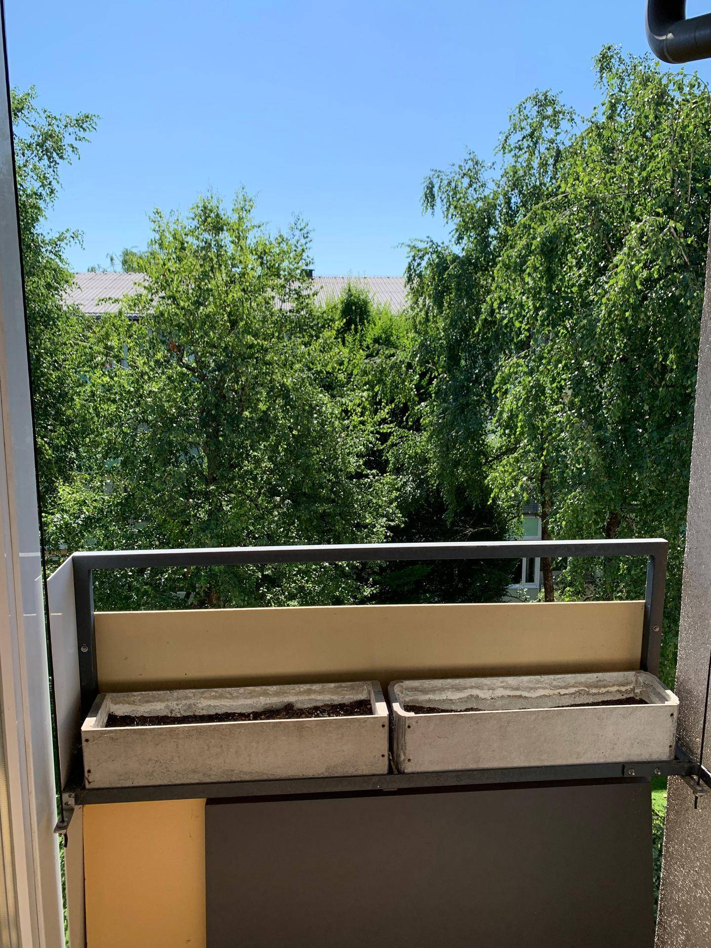 Balkon mit Blumenkästen und Blick auf die umliegenden Bäume und das Grüne.