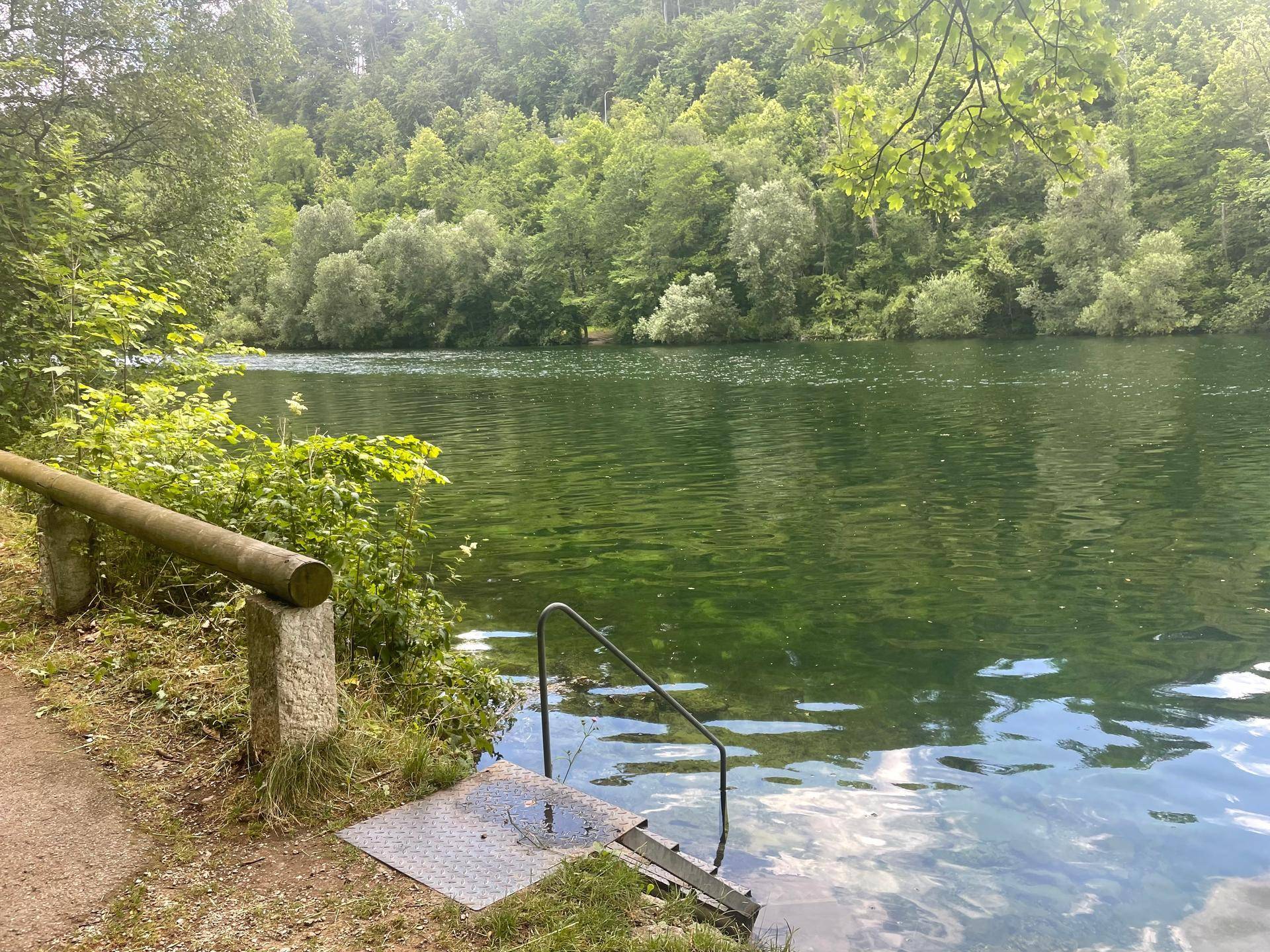 Malerischer Seezugang mit Steg und üppiger grüner Vegetation am Ufer.