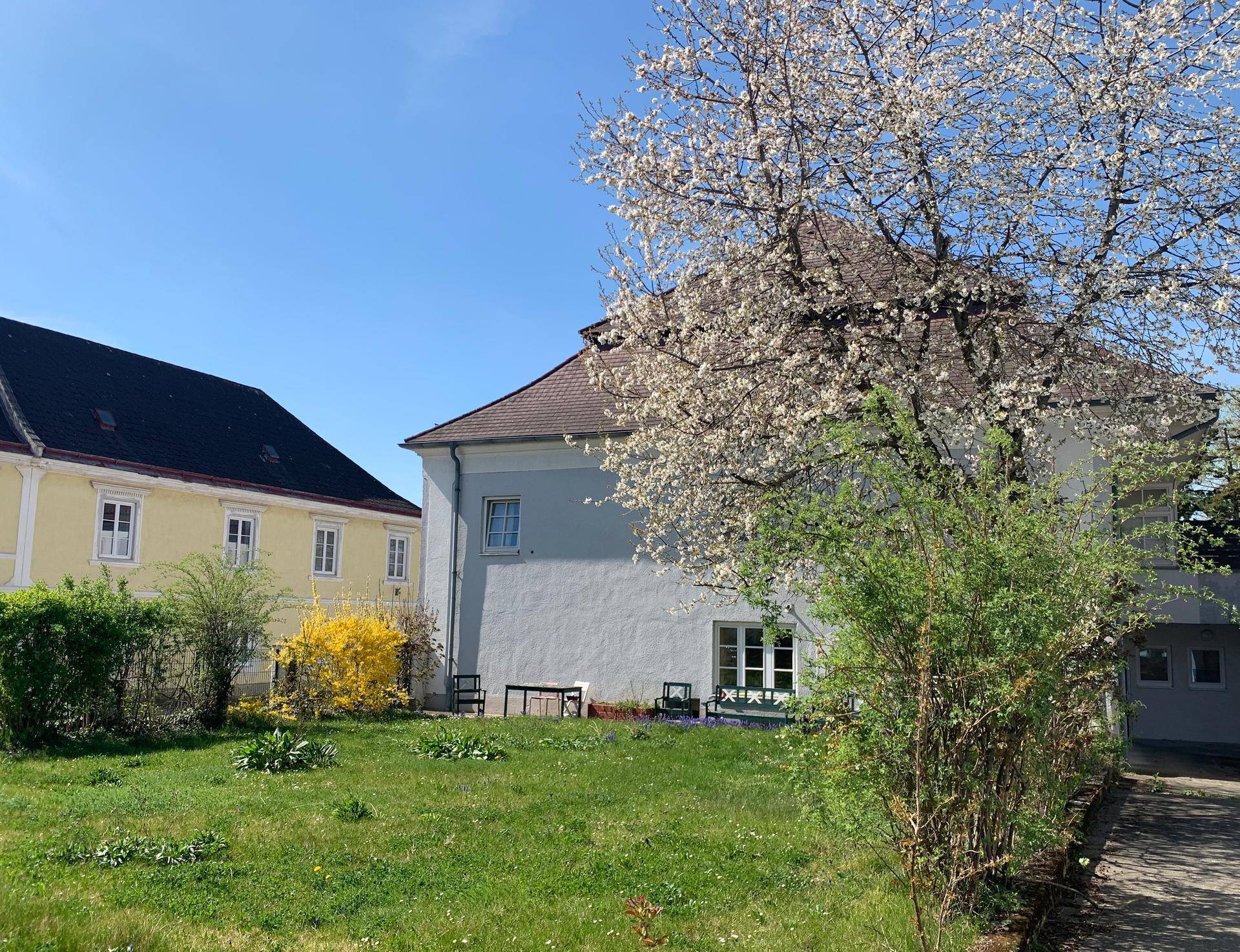 3-Zimmer Büro mit Einbauküche und Gäste-WC + Garten - Ansicht 3