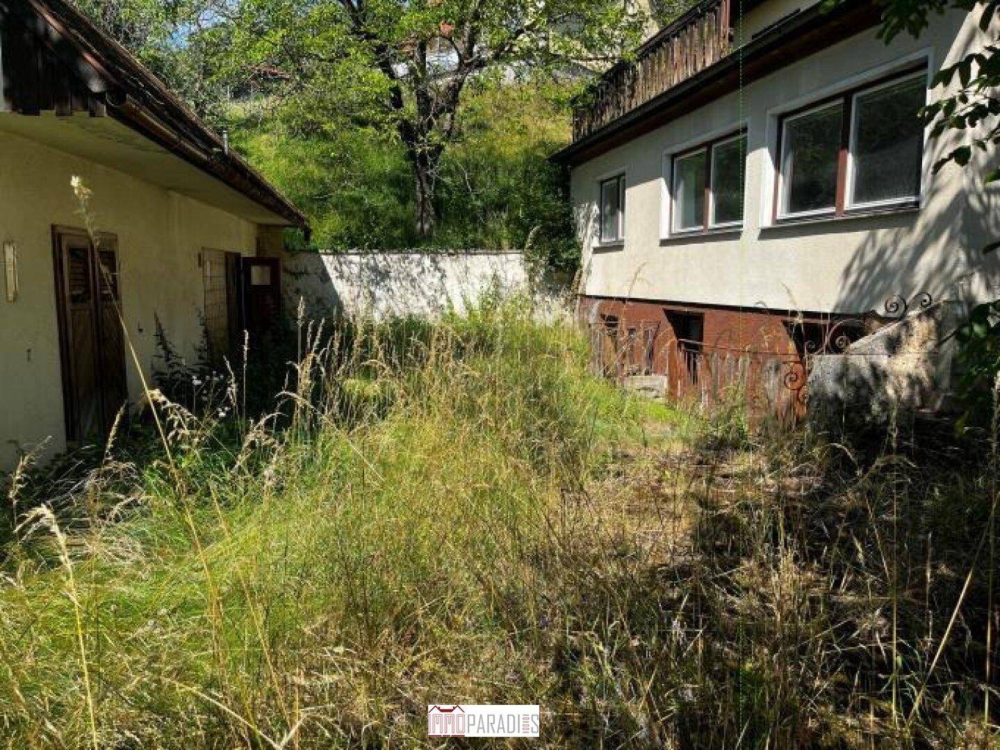 Rückseite des Hauses mit Fenstern und einem stark bewachsenen Gartenbereich.