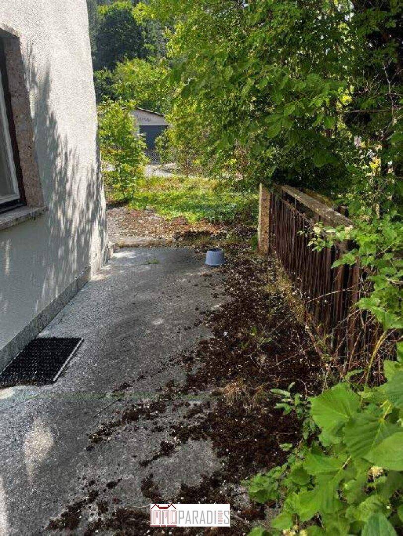 Kleiner gepflasterter Bereich neben dem Haus mit Bewuchs und einem einfachen Zaun.