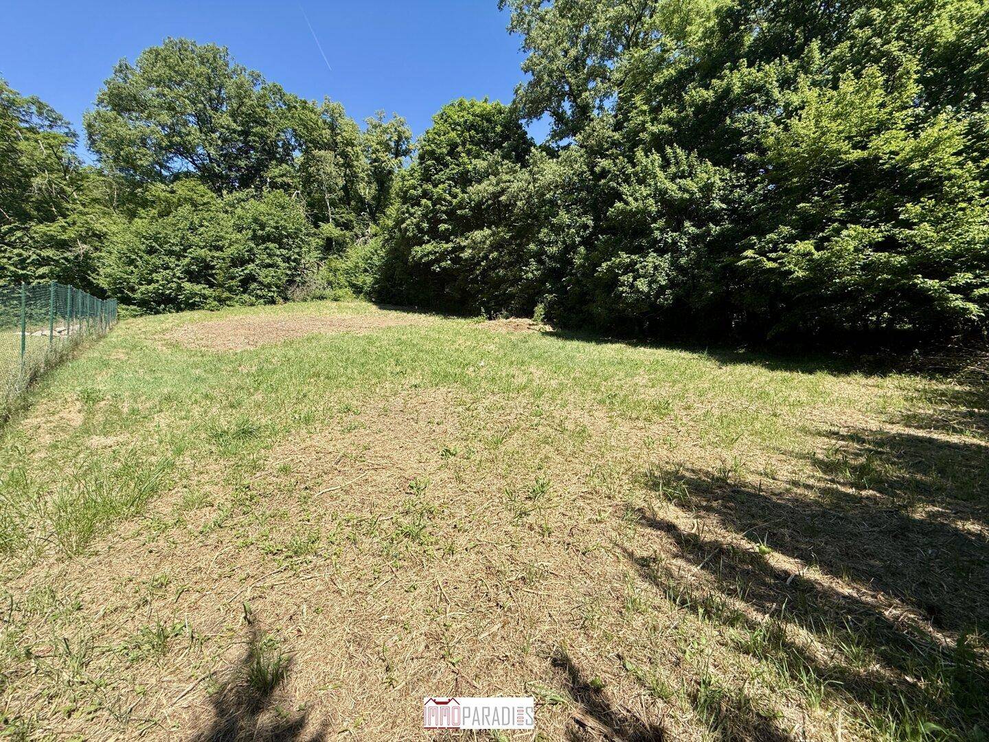 Grünes Grundstück umgeben von dichtem Baumbestand unter blauem Himmel.