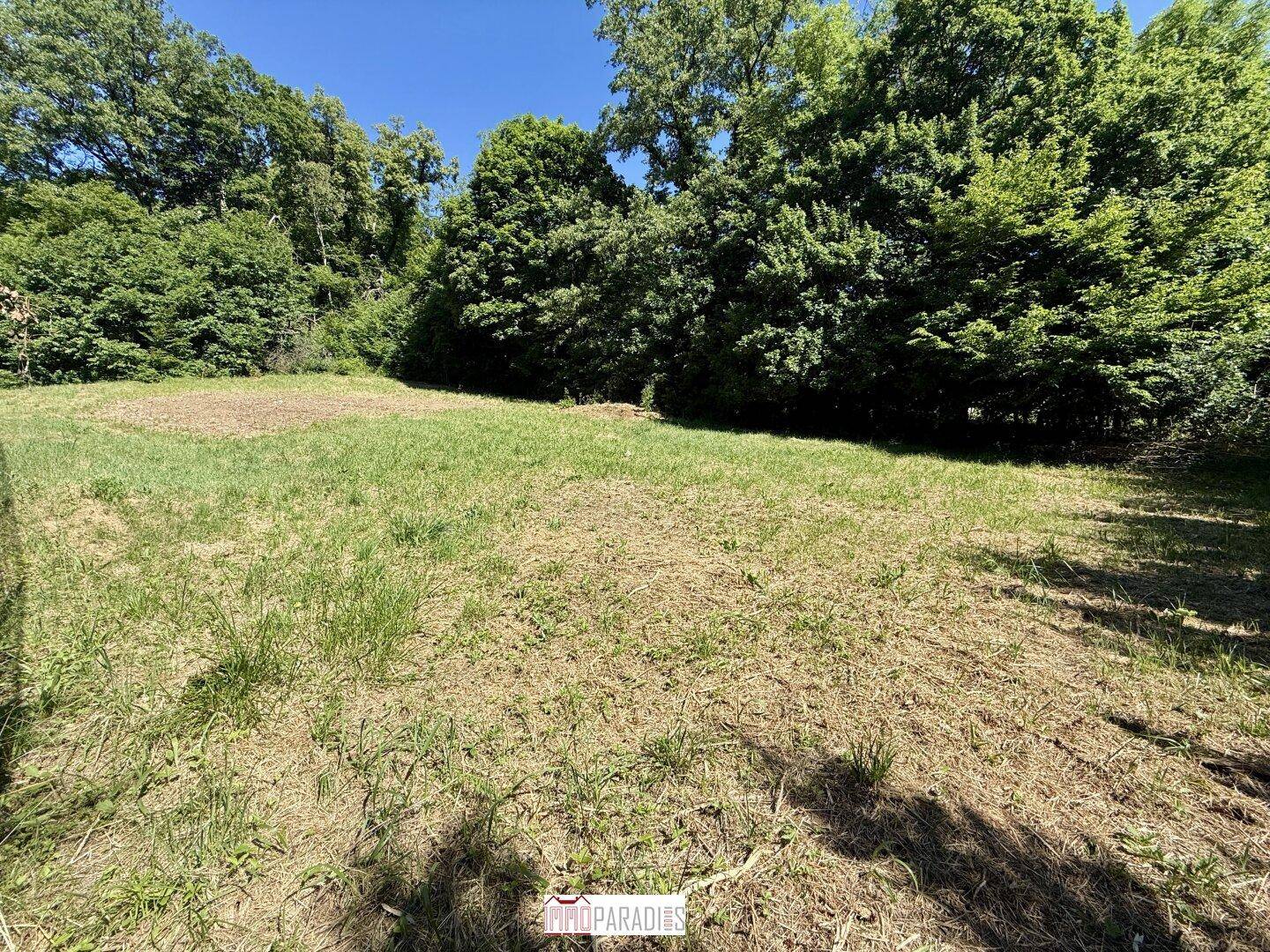 Weitläufige Grünfläche umgeben von üppigem Baumbestand an einem sonnigen Tag.