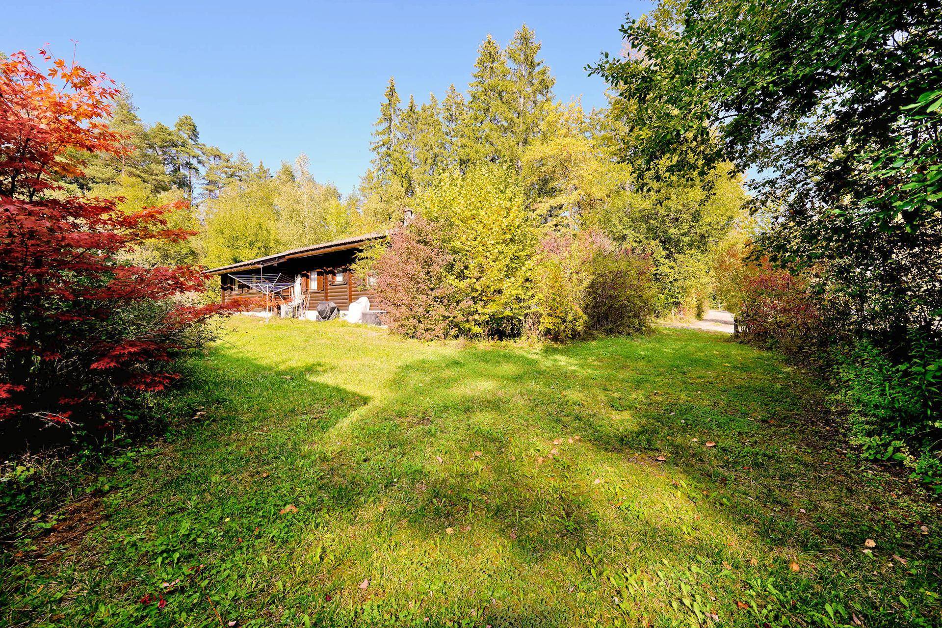 Sonniger Gartenbereich mit weitläufigem Rasen und Blick auf das charmante Holzchalet im Grünen.